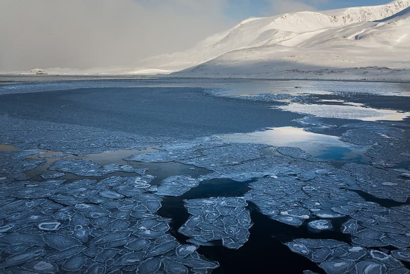 Infographic: Underwater noise - WWF Arctic