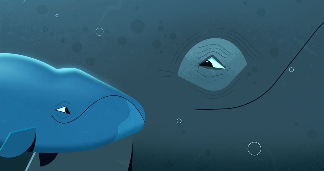 Pollution with an easy solution: Regulating underwater noise pollution ...