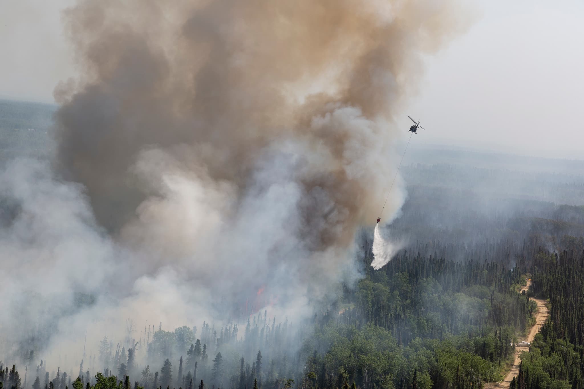 Wildfire Arctic