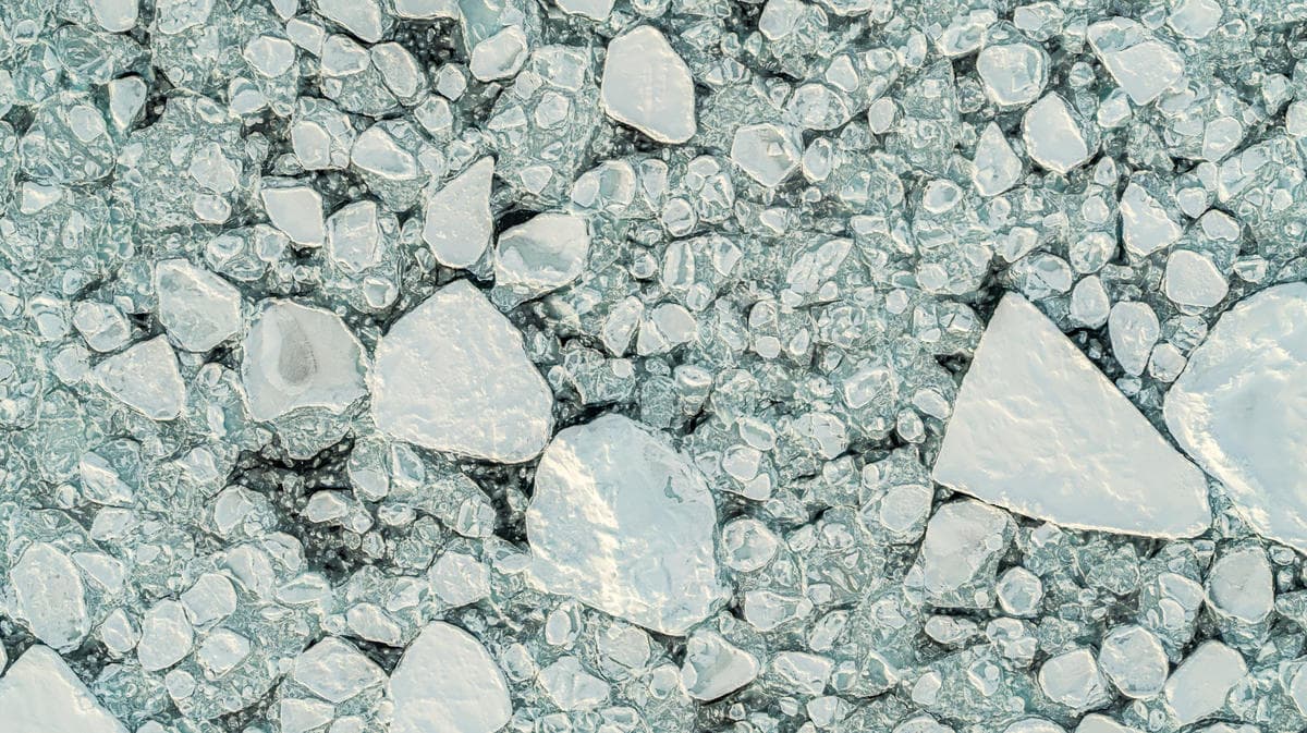 Frozen sea ice on top of the ocean waters.