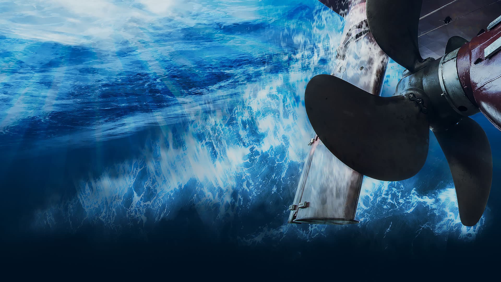 Underwater noise - WWF Arctic