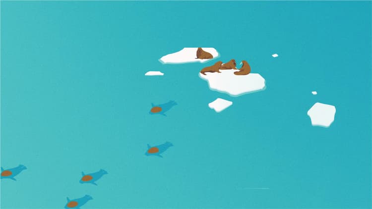 Arctic connected | Arctic biodiversity under threat - WWF Arctic