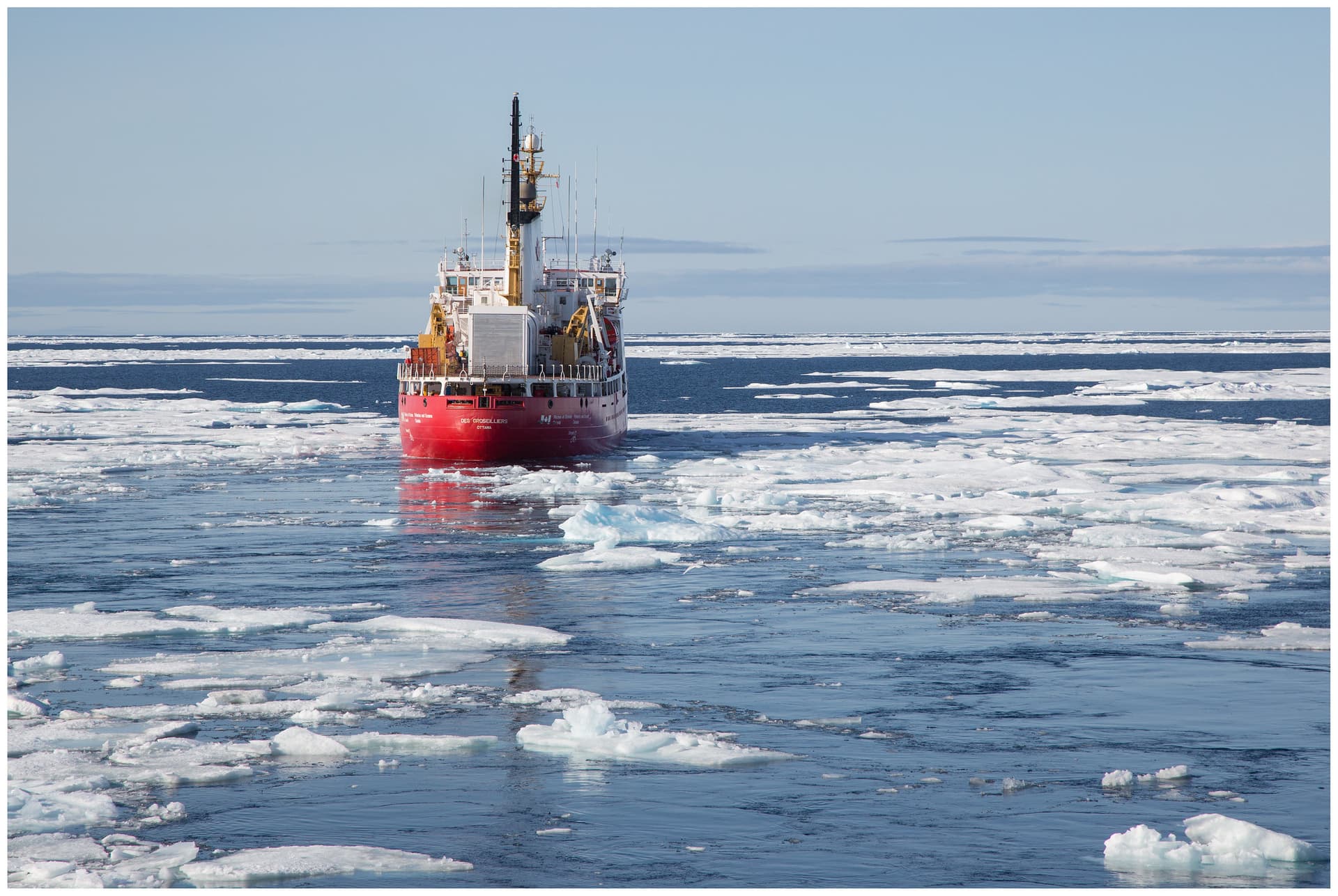 Underwater noise - WWF Arctic