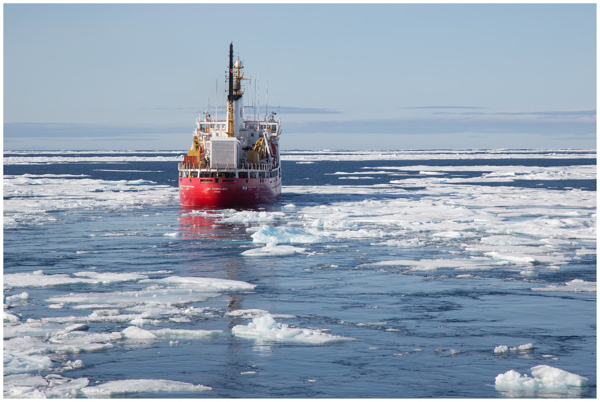 Underwater noise - WWF Arctic