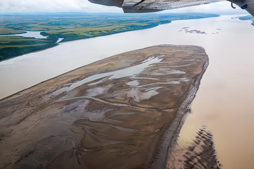 Working together to better understand Alaska’s beluga whales - WWF Arctic