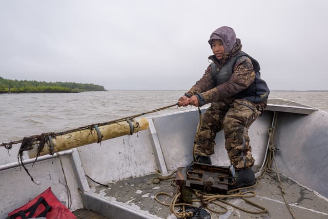 Working together to better understand Alaska’s beluga whales - WWF Arctic