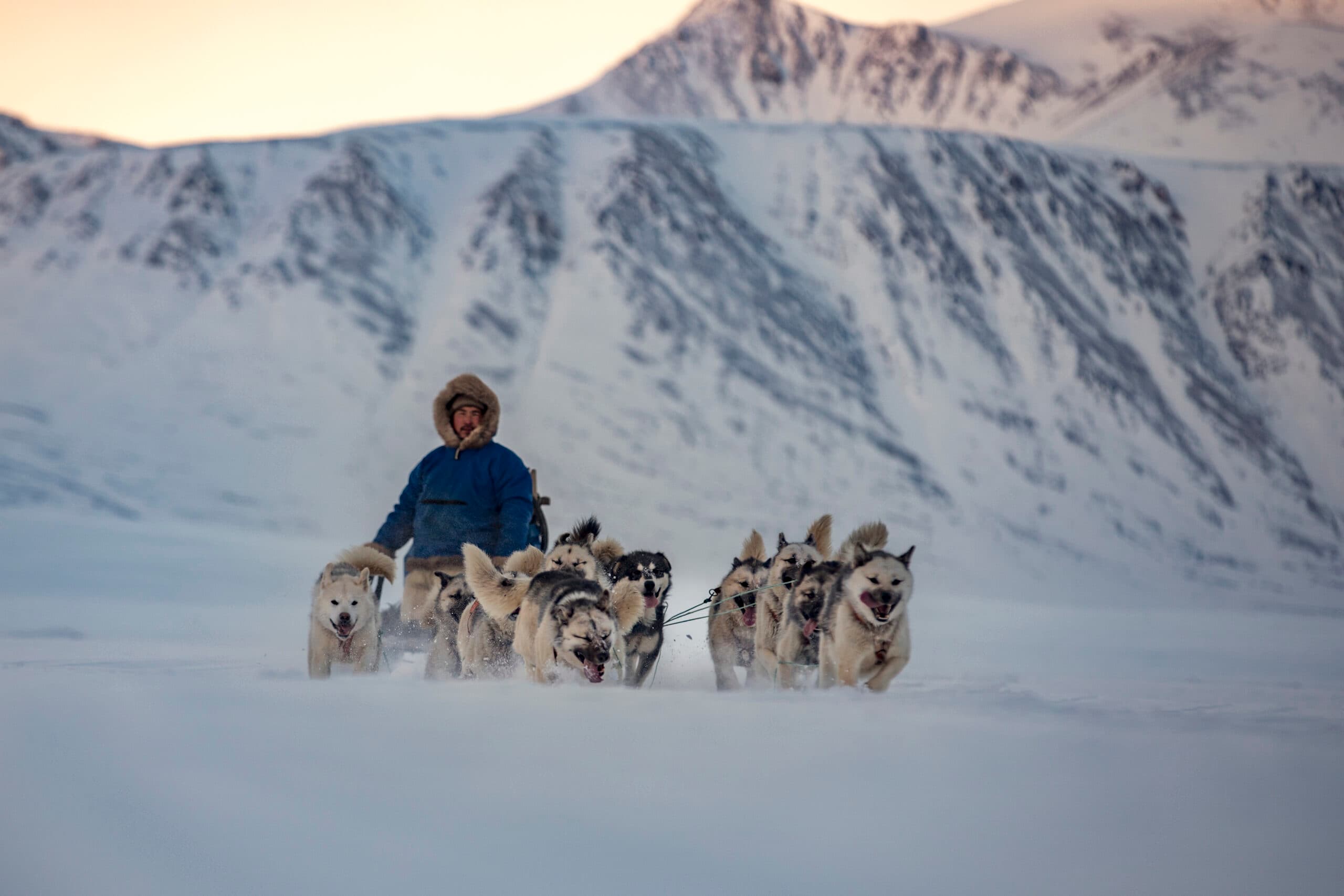 A man, Åge Hammeken Danielsen, a traditional hunter, drives his sled dogs through Walrus Bay, Ittoqqortoormiit, East Greenland in the snow.