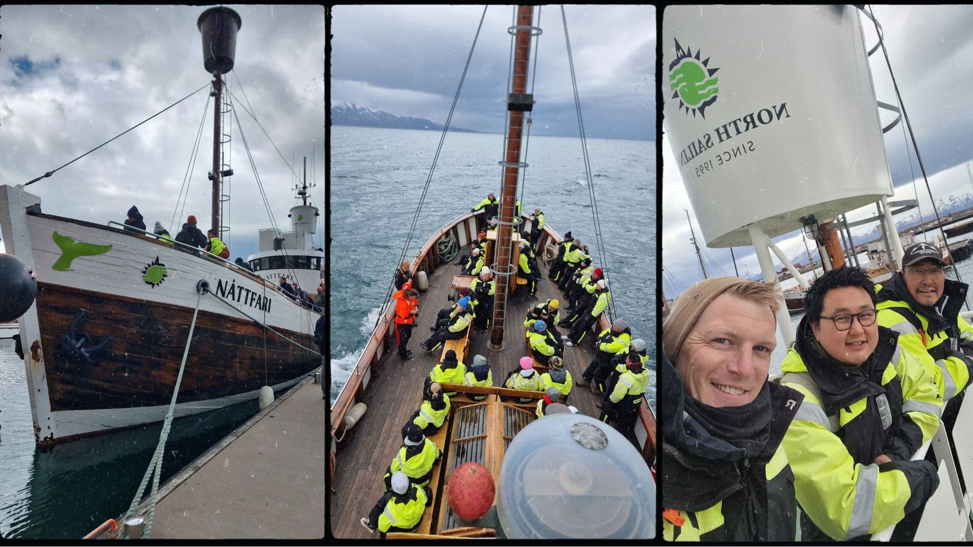 Three images of people on or by whale watching touring boats in Iceland.