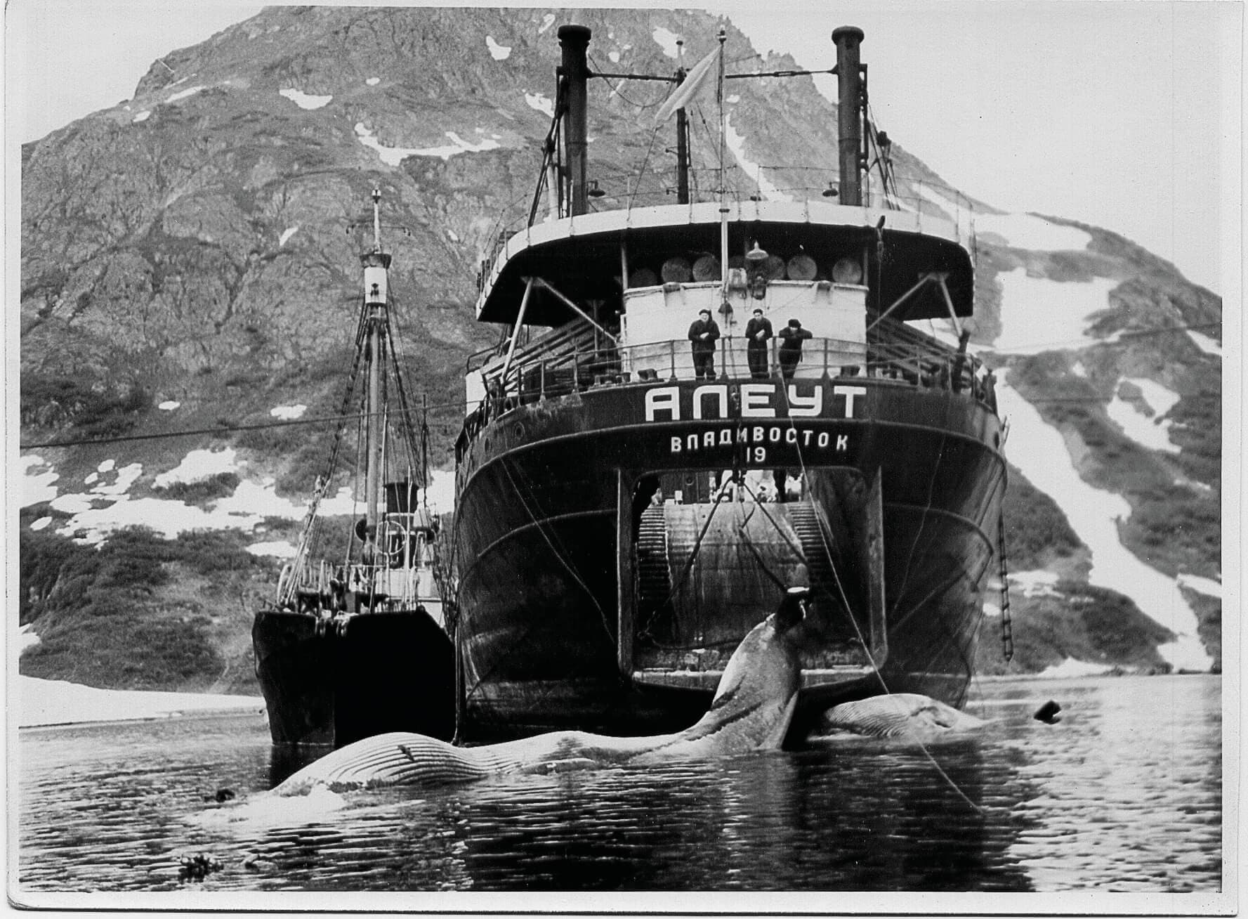 Black and white photo of an old commercial whaling boat in the foreground. Mountains in the background.