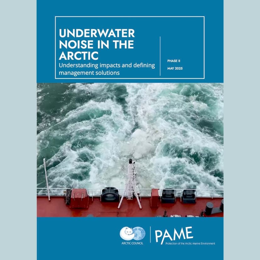 Underwater noise - WWF Arctic