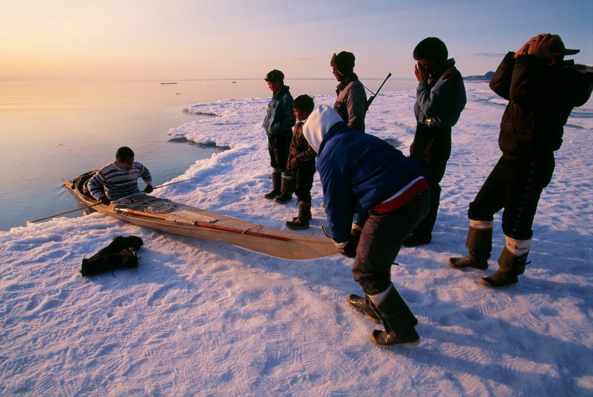 Underwater noise - WWF Arctic