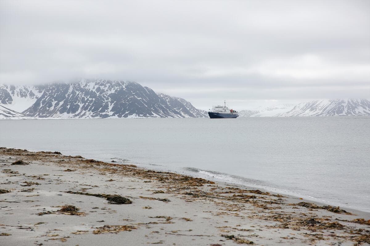 Polar Bear Crisis This Arctic Expedition Reveals A Critical Turning Point - r7rm7o7