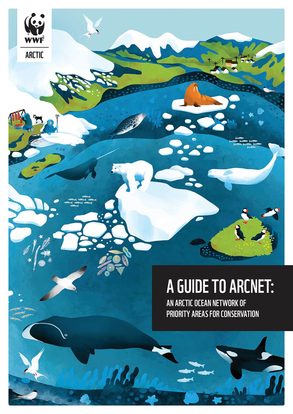 A Guide to ArcNet: An Arctic Ocean Network of Priority Areas for ...