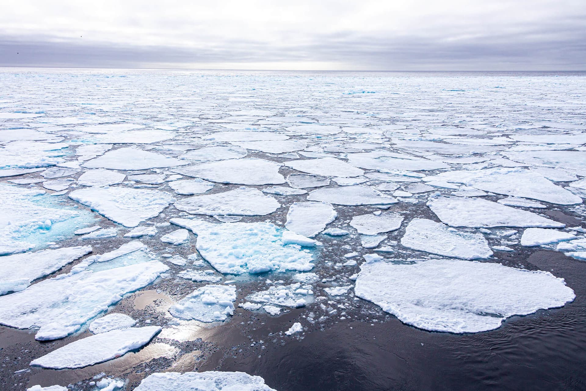 Central Arctic Ocean Fisheries Agreement - WWF Arctic